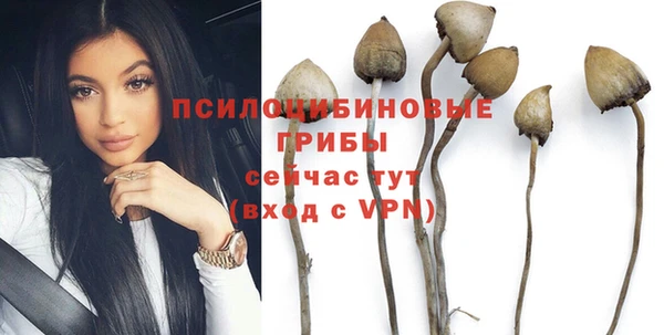 ешки Аркадак