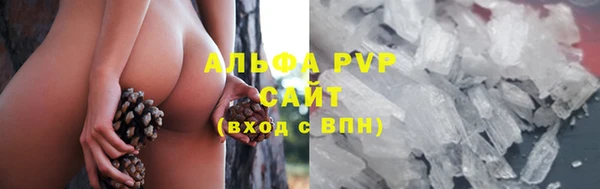 ешки Аркадак