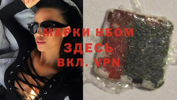 ешки Аркадак