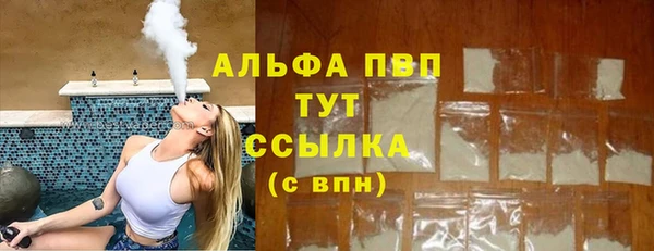 ешки Аркадак